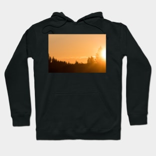 Golden Hour Hoodie